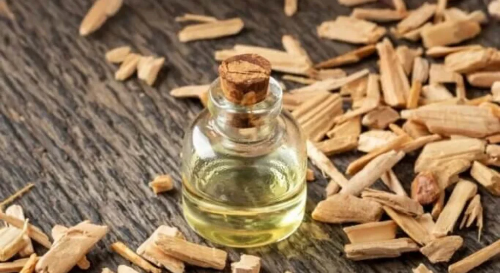 cedar